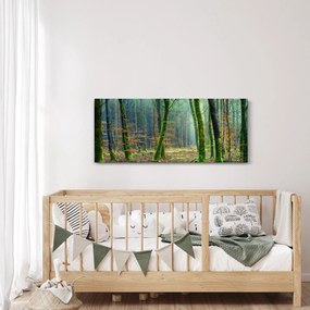 Tablou cu pădure (120x50 cm)