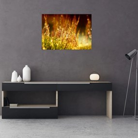 Tablou - Detaliu rouă (70x50 cm)