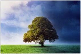 Tablou - Noapte și zi (90x60 cm)