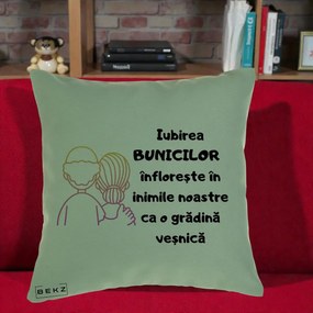 Cadou pentru Bunici - Perna Personalizata Iubirea Bunicilor Infloreste Cuplu Line Art Gradient, 40x40 cm, Verde, Husa Detasabila, Perna Inclusa, BEKZ®
