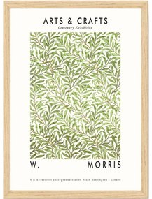Tablou 55x75 cm William Morris – Wallity