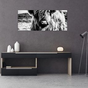 Tablou - Highland - vacă scoțiană (120x50 cm)