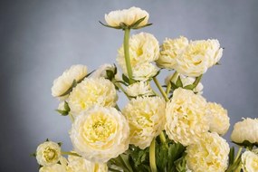 Aranjament floral, decor festiv design LUX, BABILON RANUNCOLO Small 50cm, alb