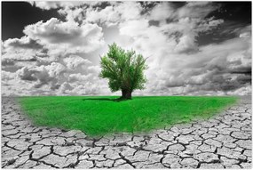 Tablou - O bucată de natură în oraș (90x60 cm)