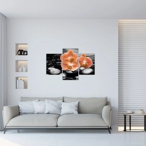 Tablou - Orhidee portocalii (90x60 cm)