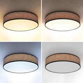 Plafonieră LED dimabilă Brilagi ADELA LED/48W/230V 3000-6500K + telecomandă