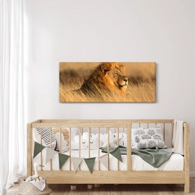 Tablou - Parcul Național Etosha (120x50 cm)
