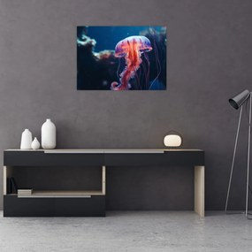 Tablou pe sticlă - Meduză (70x50 cm)
