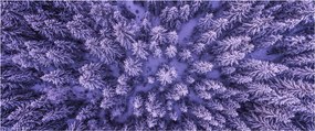 Tablou cu copacii înzăpeziți (120x50 cm)