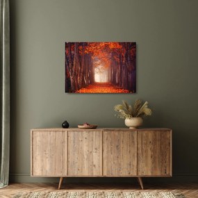 Tablou pe sticlă - Pădurea de toamnă (70x50 cm)