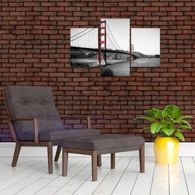 Tablou cu pod (90x60 cm)