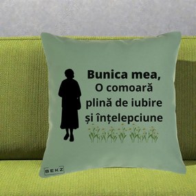 Cadou pentru Bunica - Perna Personalizata Bunica Mea Comoara Iubire Intelepciune Silueta cu Nepoata, 40x40 cm, Verde, Husa Detasabila, Perna Inclusa, BEKZ®