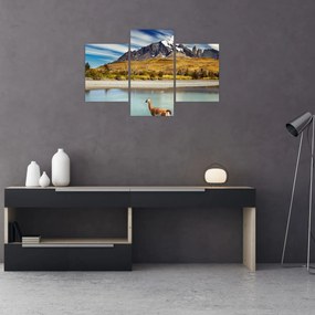 Tablou - Parcul Național Torres del Paine (90x60 cm)