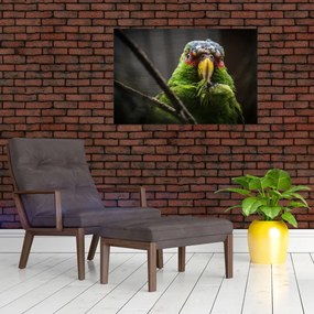 Tablou cu papagal (90x60 cm)