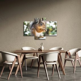 Tablou cu veverița (90x60 cm)