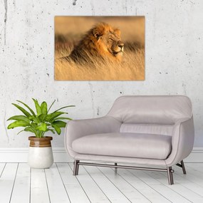 Tablou pe sticlă - Parcul Național Etosha (70x50 cm)