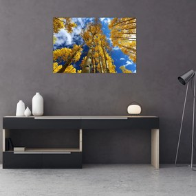 Tablou - Aspen (90x60 cm)