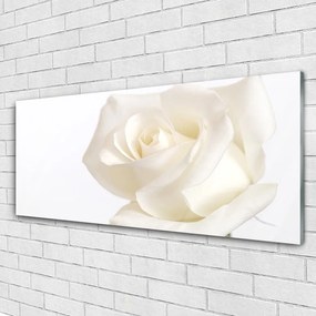 Tablouri acrilice Rose Floral alb
