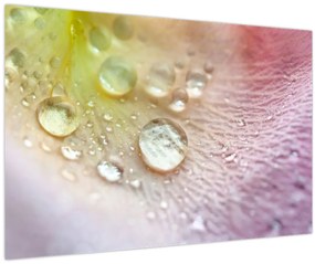 Tablou - Picături (90x60 cm)