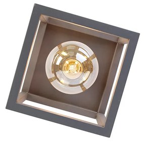 Plafoniera inteligentă industrială gri închis incl. Wifi G95 - Cage