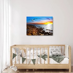 Tablou pe sticlă - Pescărușul zboară deasupra coastei (70x50 cm)
