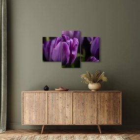 Tablou cu flori de lalele (90x60 cm)