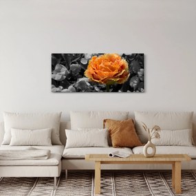 Tablou cu floare (120x50 cm)