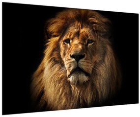 Tablou - Leu cu o coamă bogată (90x60 cm)