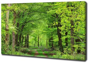 Tablou canvas Pădure de primăvară