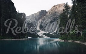 Fototapet, The Valley, Gray, Rebel Walls