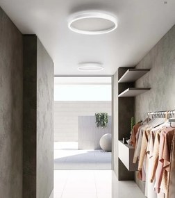 Plafoniera LED design slim AELA 40cm, auriu, alb sau negru