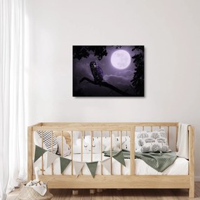 Tablou pe sticlă - Bufniță de noapte, violet (70x50 cm)