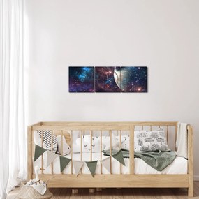 Tablou cu cosmos (cu ceas) (90x30 cm)