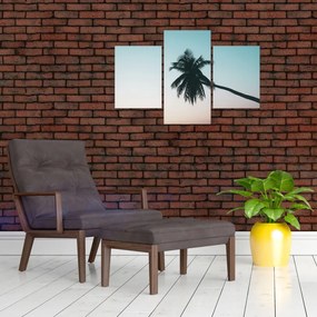 Tablou - Palmier la Bali (90x60 cm)