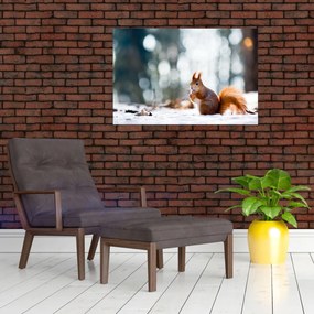 Tablou - Veveriță (90x60 cm)