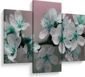 Tablou cu floare - turcoaz (90x60 cm)