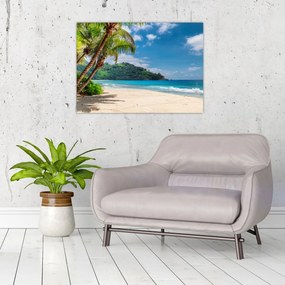 Tablou - Caraibe (70x50 cm)