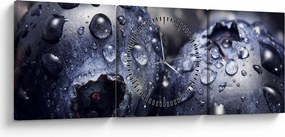 Tablou cu fructe cu picături de apă (cu ceas) (90x30 cm)