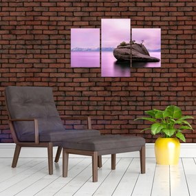 Tablou cu piata în mare (90x60 cm)