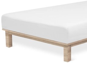 4Home jersey sheet Luxury alb , 180 x 200 cm, 180 x 200 cm