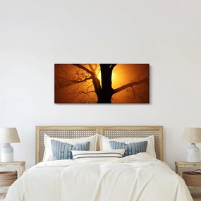 Tablou cu copac în apus de soare (120x50 cm)