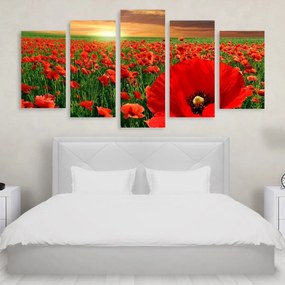 Tablou Multicanvas 5 Poppy Field - 150X80 cm 150X80 cm