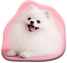 Câine Pomeranian pernă decorativă 39x37 cm Velur