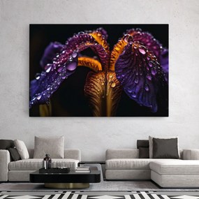 Tablou Canvas, 30x40cm, Dormitor si Living, Flori, Iris, Dark Iris After Rain