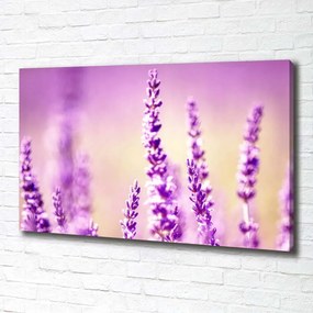 Print pe canvas Lavandă