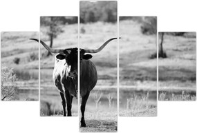 Tablou - Vacă,alb-negru (150x105 cm)
