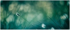 Tablou - Detaliu iarbă (120x50 cm)