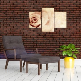 Tablou - floare de trandafir pentru îndrăgostiți (90x60 cm)