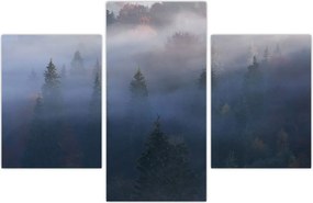 Tablou - Pădure în ceță, Carpați, Ucraina (90x60 cm)