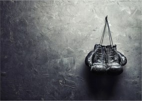 Tablou pe sticlă - Mănuși de box (70x50 cm)